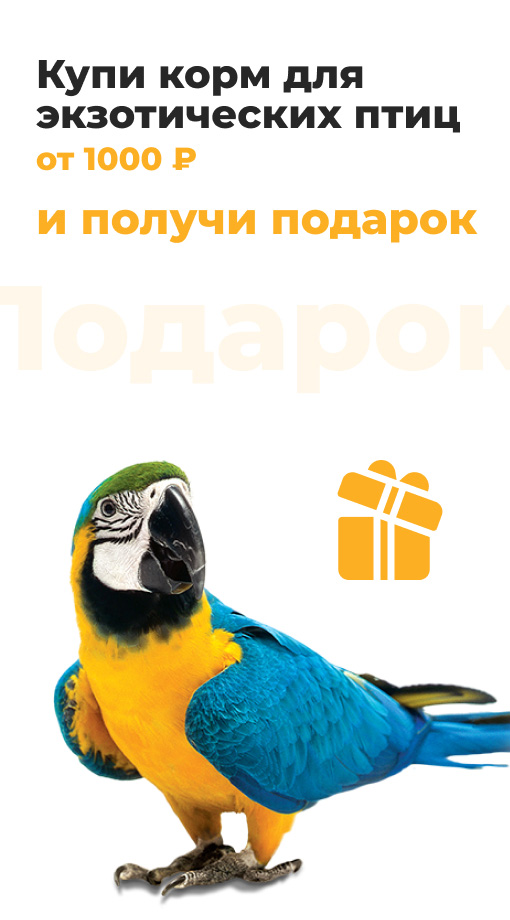 Купи корм для экзотических птиц от 1000 рублей и получи подарок